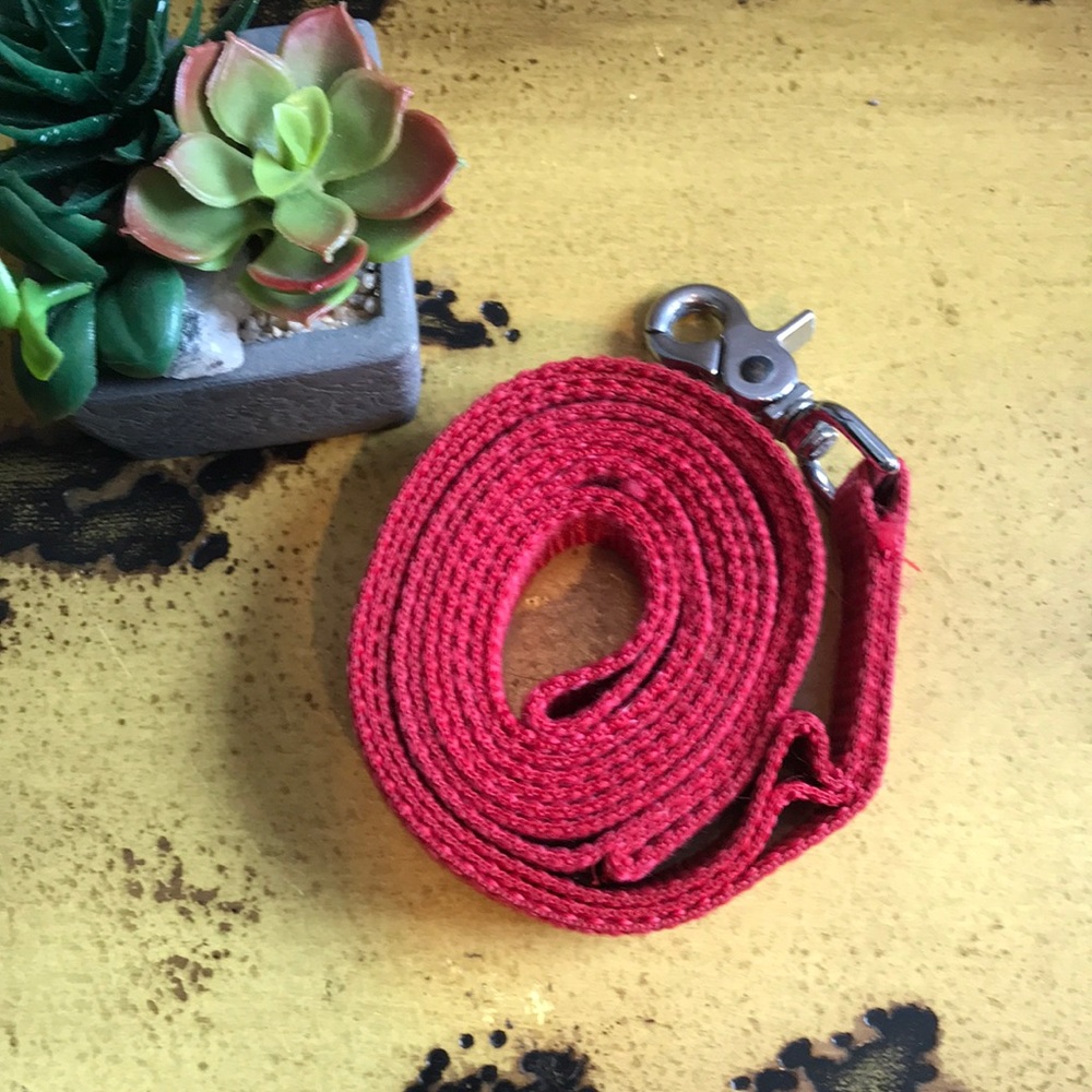 Heavy Duty Dog Leash- 3 Hand Holds - Picture 1 of 3